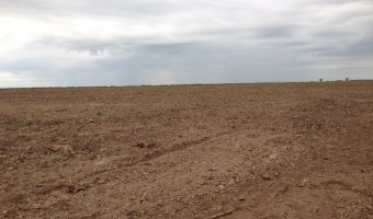 230 Ha Agrícolas en Cañada Escobar