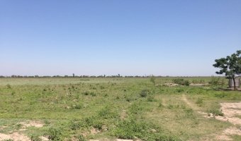 167 ha Agrícolas en La Aurora