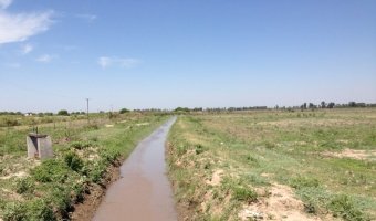 167 ha Agrícolas en La Aurora