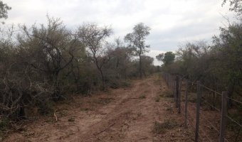 1017 Ha Ganaderas en Urutau