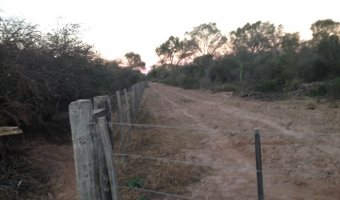 2000 Ha Ganaderas en Villa Figueroa