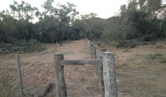 2000 Ha Ganaderas en Villa Figueroa