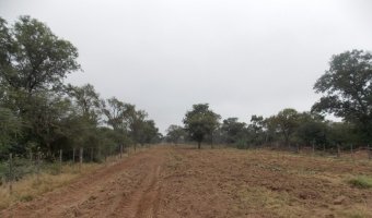 2000 Ha Ganaderas en Villa Figueroa