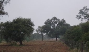 2000 Ha Ganaderas en Villa Figueroa