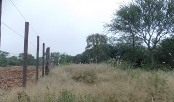 2000 Ha Ganaderas en Villa Figueroa