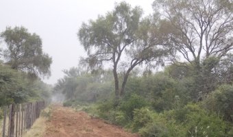2000 Ha Ganaderas en Villa Figueroa