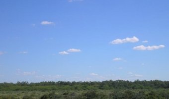 2500 Ha Ganaderas La Floresta