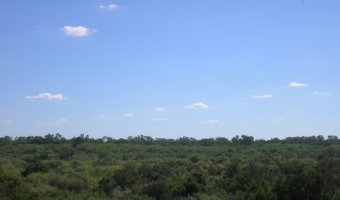 2500 Ha Ganaderas La Floresta