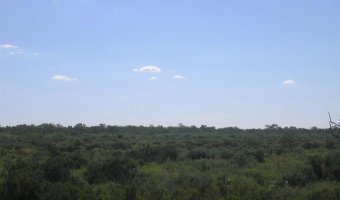 2500 Ha Ganaderas La Floresta