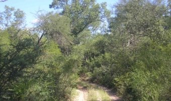 2500 Ha Ganaderas La Floresta