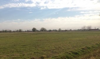 60 Ha Agrícolas en Nueva Francia