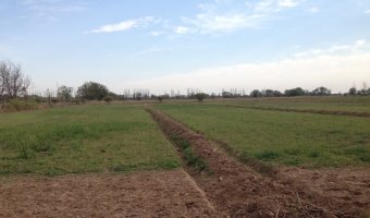 60 Ha Agrícolas en Nueva Francia