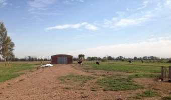 60 Ha Agrícolas en Nueva Francia