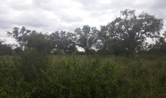 Administración y Desarrollo de Campos. Asesoramiento