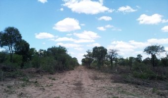 Administración y Desarrollo de Campos. Asesoramiento