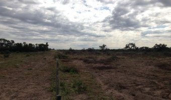Administración y Desarrollo de Campos. Asesoramiento