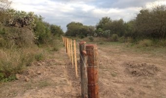 Administración y Desarrollo de Campos. Asesoramiento