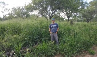 2500 Ha Ganaderas en La Providencia, Chaco