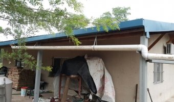 2500 Ha Ganaderas en La Providencia, Chaco