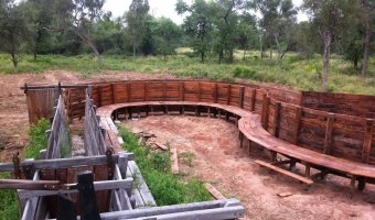 2500 Ha Ganaderas en La Providencia, Chaco