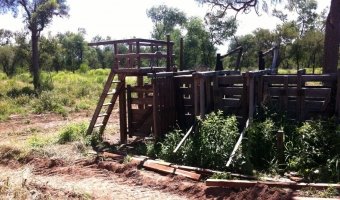 2500 Ha Ganaderas en La Providencia, Chaco