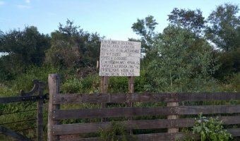 2500 Ha Ganaderas en La Providencia, Chaco