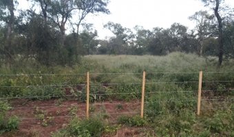 2500 Ha Ganaderas en La Providencia, Chaco
