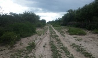 580 Ha Ganaderas en La Capilla