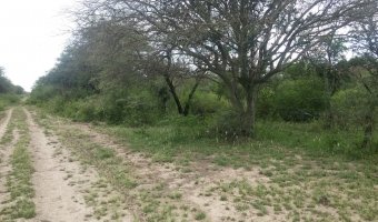 580 Ha Ganaderas en La Capilla