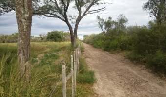 134 Ha Mixto en Siete Árboles