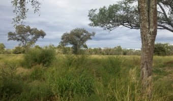 134 Ha Mixto en Siete Árboles