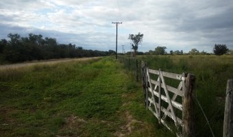 134 Ha Mixto en Siete Árboles
