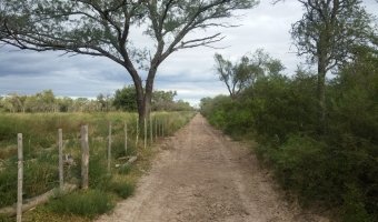 134 Ha Mixto en Siete Árboles