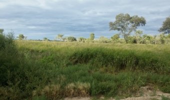 134 Ha Mixto en Siete Árboles