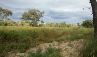 134 Ha Mixto en Siete Árboles