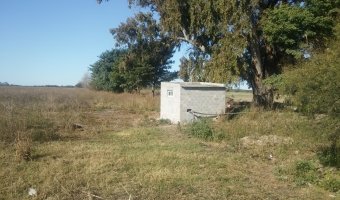 90 Ha Agrícolas en el Tramo 20