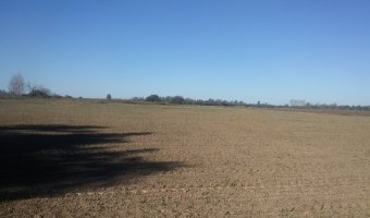 90 Ha Agrícolas en el Tramo 20