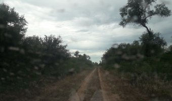 2500 Ha Ganaderas en La Providencia, Chaco