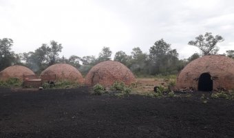 2500 Ha Ganaderas en La Providencia, Chaco