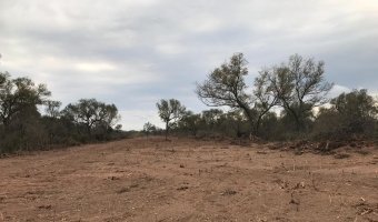 2000 Ha Ganaderas en Villa Figueroa