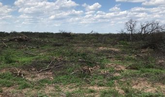 2000 Ha Ganaderas en Villa Figueroa