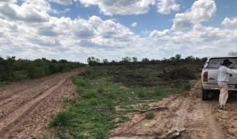 2000 Ha Ganaderas en Villa Figueroa