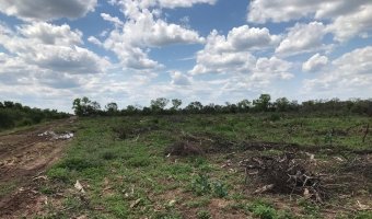 2000 Ha Ganaderas en Villa Figueroa