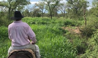 2000 Ha Ganaderas en Villa Figueroa
