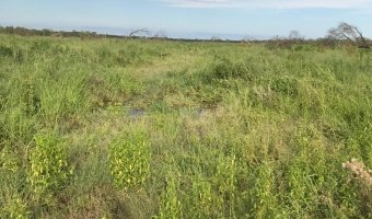 2000 Ha Ganaderas en Villa Figueroa