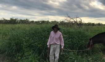 2000 Ha Ganaderas en Villa Figueroa