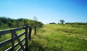 Campo Ganadero en Los Acosta