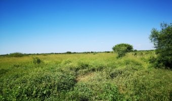 Campo Ganadero en Los Acosta