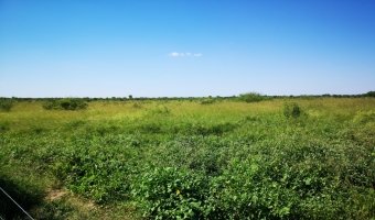 Campo Ganadero en Los Acosta