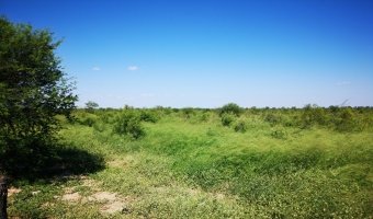 Campo Ganadero en Los Acosta